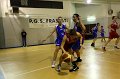 Basket 443022